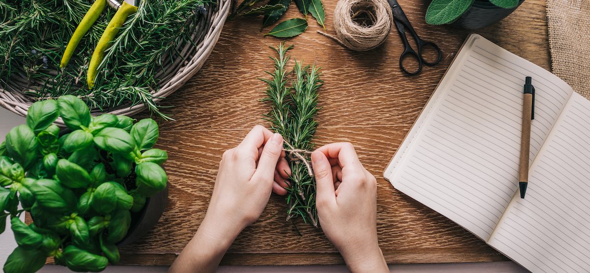 malaysia-herbal-medicine-supplier
